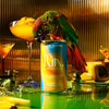 can of actual sunshine from kin euphorics with tall glass of non-alcoholic mimosa with a parrot  Thumb